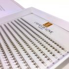 5D 0.07 600 FANS CC MIX - PROMADE MŰSZEMPILLA